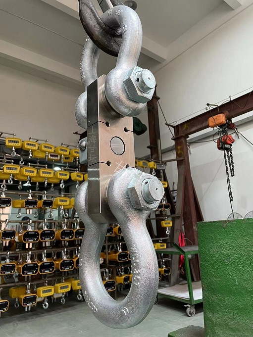 高密防水拉力計10T20T30T、船舶載重能力檢測儀器